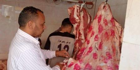 ضبط 77 مخالفة تموينية خلال حملات تفتيشية على المخابز والأسواق بالمنيا - الكويت الاخباري