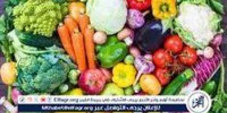 أسعار الخضروات اليوم السبت 14-6-2025 في الدقهلية - الكويت الاخباري