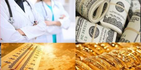 أسعار الدواجن اليوم.. ومنخفض هندي يضرب البلاد.. ومفاجأة بالذهب والدولار.. أخبار التوك شو - الكويت الاخباري