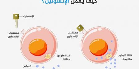 كم كيلوغراما يحتاج الشخص أن يفقد حتى يتخلص من مقاومة الإنسولين؟ - الكويت الاخباري