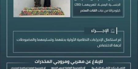 حرس الحدود بجازان يقبض على مخالِفَين لنظام أمن الحدود لتهريبهما 280 كيلوجرامًا من نبات القات المخدر - الكويت الاخباري