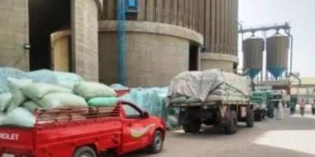 محافظ أسوان: توريد551 ألف و175 طن قمح بنسبة 112.7% بالصوامع والشون - الكويت الاخباري