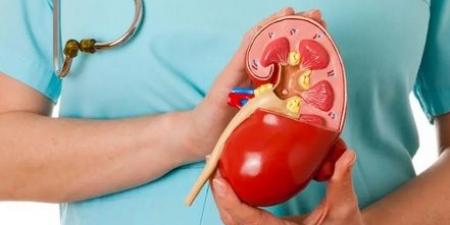 أطباء يفندون 7 خرافات خطيرة حول أمراض الكلى #الصحة #منوعات #اخبار_الصحة #اخبار_منوعة #لايف_ستايل #الجمهورية_أون_لاين - الكويت الاخباري