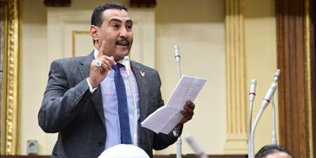 برلماني: قوة وحكمة السيسي أنقذت الوطن في 30 يونيو - الكويت الاخباري