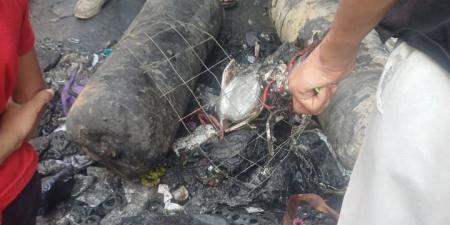 3محلات ومنزل.. انفجار أسطوانة غاز وراء حريق سوق فيصل.. صور - الكويت الاخباري