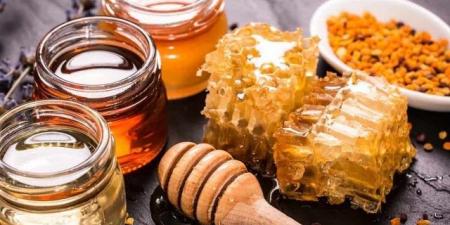عسل الكاليبتوس قوة شفائة المذهلة - الكويت الاخباري