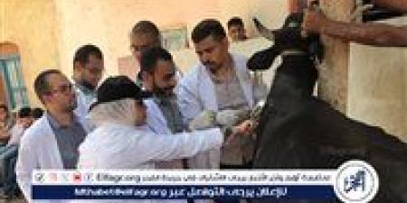 بيطرى سوهاج: تطلق قافلة طبية بيطرية بقرية تونس مبادرة "حياة كريمة " - الكويت الاخباري