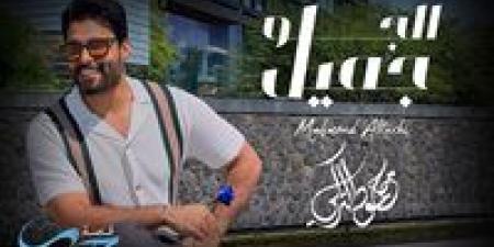 كأول مرة.. محمود التركي يطرح أغنية "الجو جميل" باللهجة المصرية - الكويت الاخباري
