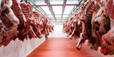 أسعار اللحوم الحمراء اليوم الإثنين - الكويت الاخباري