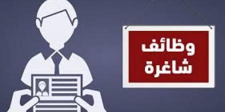 بنك مصر يعلن عن وظائف جديدة للشباب - الكويت الاخباري