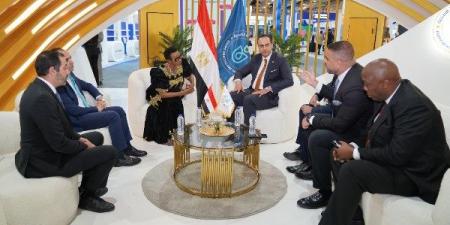 استعرض التجربة المصرية الناجحة في تطوير المنظومة الصحية أمام الدول الأفريقية - الكويت الاخباري