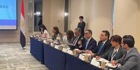 وزير الاستثمار: الحكومة تسعى لجعل مصر مركزا إقليميا لإنتاج وتصدير السيارات الكهربائية - الكويت الاخباري
