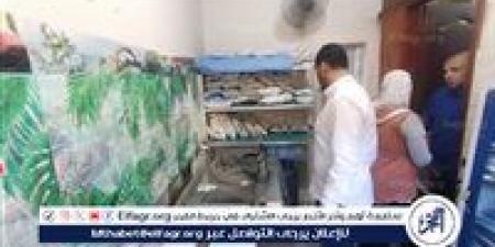 صحة الدقهلية: العلاج الحر يوصي بغلق 28 منشأة مخالفة وإنذار 6 أخرى بمدينة الكردى - الكويت الاخباري
