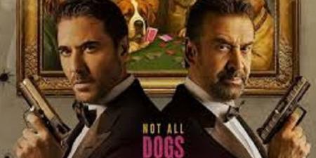 التفاصيل الكاملة لفيلم The Seven Dogs لـ كريم عبد العزيز وعز - الكويت الاخباري