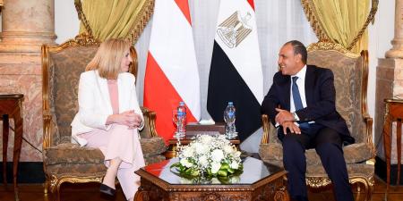 تعاون مصري نمساوي لمواجهة الهجرة غير الشرعية وتوفير فرص للعمالة الماهرة - الكويت الاخباري