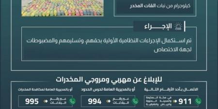 حرس الحدود بعسير يقبض على (6) مخالفين لتهريبهم (100) كيلوجرام من نبات القات - الكويت الاخباري