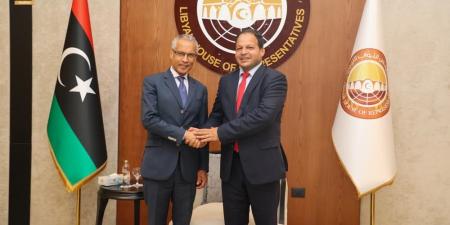 ملفات أمنية وحقوقية في لقاء نائب لجنة الشؤون الداخلية النيابية مع السفير الفرنسي في بنغازي - الكويت الاخباري