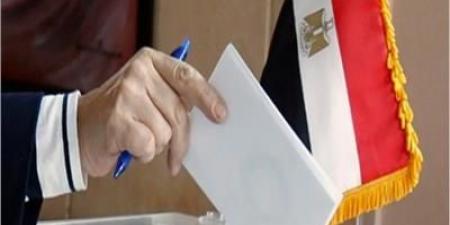 انتخابات مجلس الشيوخ .. تقدم  19 مرشحا لخوض الانتخابات في البحيرة - الكويت الاخباري
