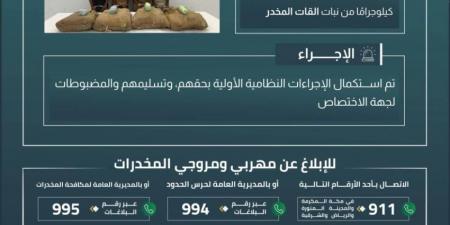 حرس الحدود بجازان يقبض على 4 مخالفين لنظام أمن الحدود لتهريبهم 80 كلجم من نبات القات المخدر - الكويت الاخباري
