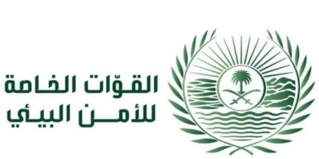 الأمن البيئي تضبط مواطنًا لارتكابه مخالفة رعي في محمية الملك عبدالعزيز - الكويت الاخباري