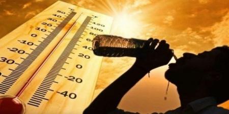 موجات الحر الطويلة خطر قاتل يزداد بقوة.. ما القصة؟ - الكويت الاخباري