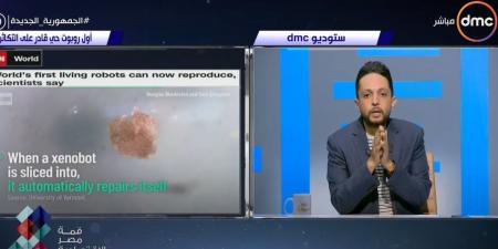 الاتصالات: 240 ألف طالب استفادوا من مبادرتي "براعم" و"أشبال مصر الرقمية" - الكويت الاخباري