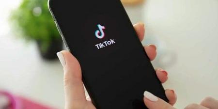 تامر عبد المنعم: «التيك توك» أصبح مهنة والبلوجرز يشترون سيارات وعقارات في دبي - الكويت الاخباري