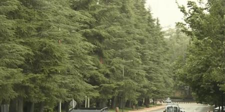 إفران "جوهرة" الأطلس وبوابة السياحة الجبلية بالمغرب - الكويت الاخباري