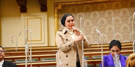 نائبة: الاستفادة من التقنيات الحديثة تحسن جودة الخدمات للمواطنين - الكويت الاخباري