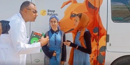 من محافظة الإسماعيلية.. "الخدمات البيطرية" تطلق فعاليات مبادرة "إيد واحدة ضد السعار" - الكويت الاخباري