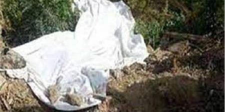 خلاف على أولوية الري ينتهي بجريمة قتل بالفيوم - الكويت الاخباري