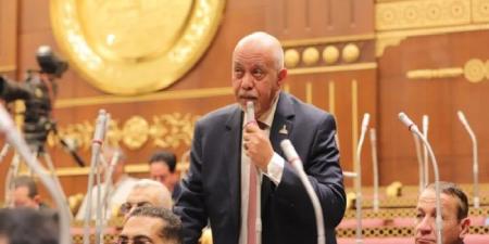 النائب حازم الجندي: نجاح الوساطة «المصرية - القطرية» خطوة حاسمة لإنهاء معاناة غزة - الكويت الاخباري