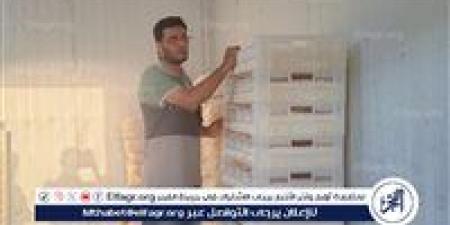 ضبط كمية كبيرة من جبنة الموزاريلا مجهولة المصدر في حملة رقابية ببني سويف - الكويت الاخباري