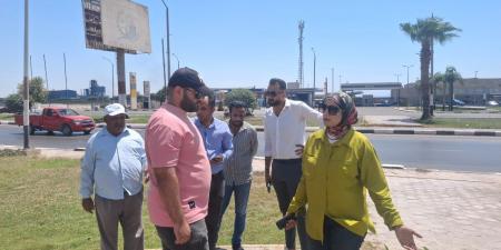  جهاز السويس الجديدة: 3000 شجرة لمواجهة التلوث الصناعي - الكويت الاخباري