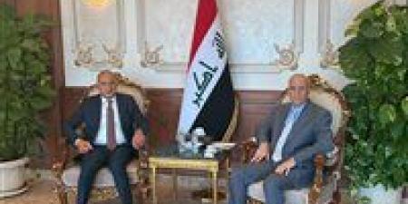 السفير العراقي يستقبل الرئيس التنفيذي لمجموعة السويدي اليكتريك في مصر - الكويت الاخباري