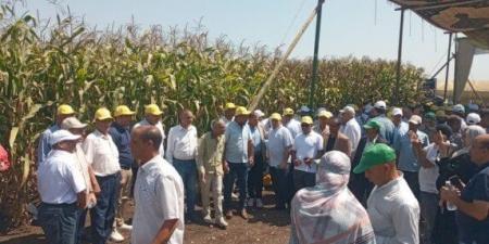 يوم الحقل السنوي.. وزير الزراعة يشهد إطلاق 23 هجينًا جديدًا من الذرة الشامية - الكويت الاخباري