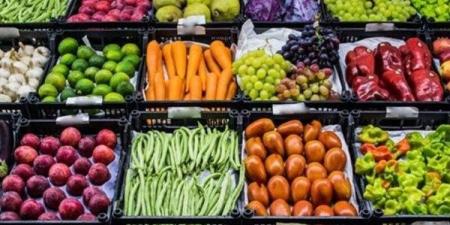 استقرار أسعار الخضراوات والفاكهة بالوادي الجديد - الكويت الاخباري