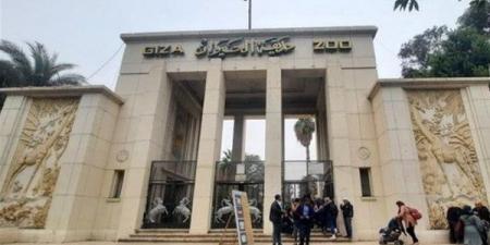 موعد افتتاح حديقة حيوان الجيزة 2025 وأسعار التذاكر.. من هي الفئات المعفية؟ - الكويت الاخباري