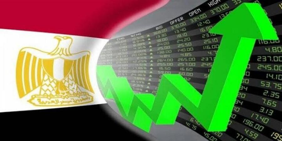 حنان وجدي: مصر عازمة على زيادة حجم الاستثمارات الأجنبية - الكويت الاخباري