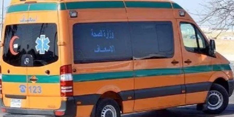 مصرع شخصين في انقلاب ملاكي بترعة الإسماعيلية - الكويت الاخباري