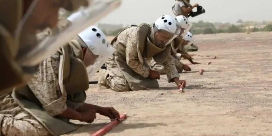 مشروع مسام السعودي يتلف آلاف الألغام في أبين ويواصل حماية المدنيين باليمن - الكويت الاخباري