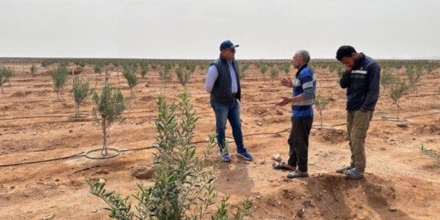 «بحوث الصحراء» يطمئن على سلامة المحاصيل بعد العاصفة الترابية وسط وشمال سيناء - الكويت الاخباري