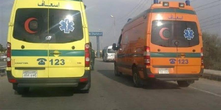 مصرع طفلة صدمتها سيارة مسرعة في العياط.. والنيابة تستعجل التحريات - الكويت الاخباري