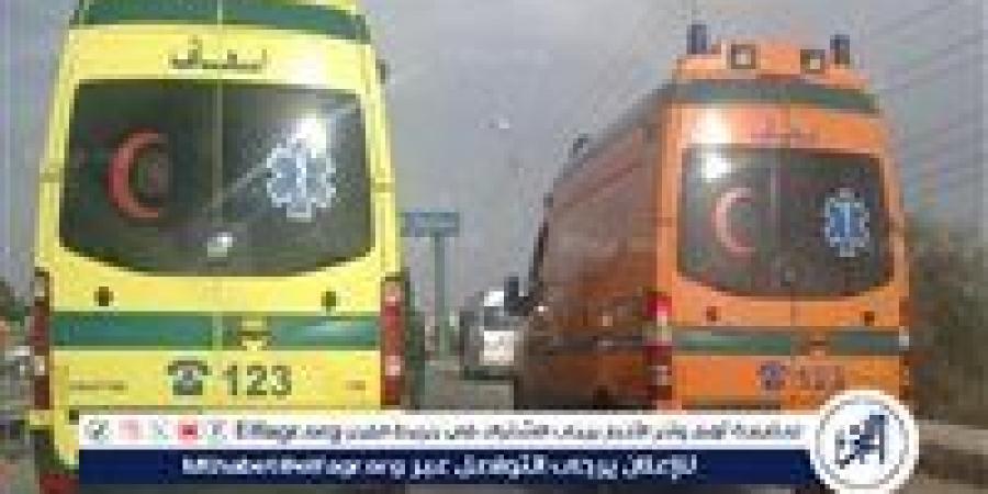 دماء على الأسفلت.. أتوبيس يدهس أبًا ونجله بطريق صلاح سالم - الكويت الاخباري