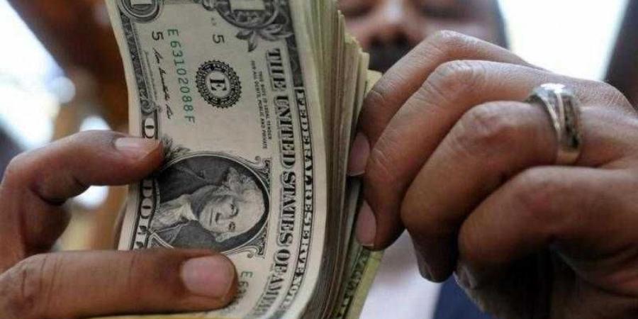 أسعار الدولار في مصر اليوم الجمعة - الكويت الاخباري