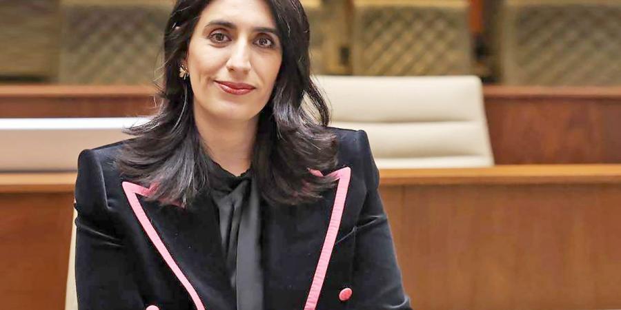 الرومي: تحديد مسؤولية تطبيق «كود الكويت للوصول» - الكويت الاخباري