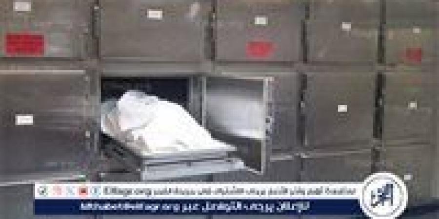 مصرع عنصرين جنائيين شديدي الخطورة عقب تبادل لإطلاق النار مع قوات الشرطة بأسوان - الكويت الاخباري