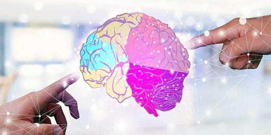 عادات للحفاظ على صحة الدماغ - الكويت الاخباري