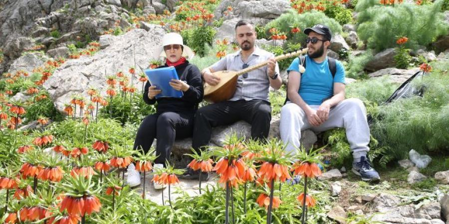 تتفتّح 4 أسابيع فقط.. "العروس الباكية" تزين مرتفعات سيرت التركية - الكويت الاخباري