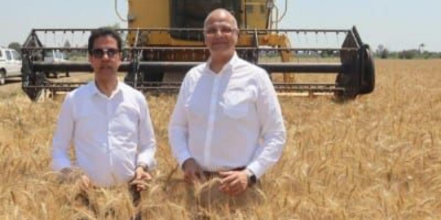 محافظ القليوبية ورئيس جامعة بنها يفتتحان موسم حصاد القمح بكلية الزراعة بمشتهر - الكويت الاخباري